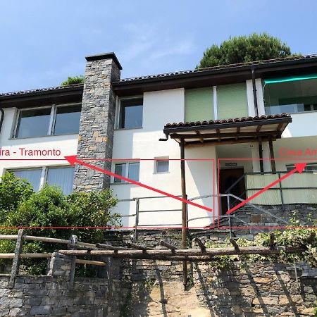 Brione sopra Minusio Casa Amira - Locarno 아파트 외부 사진