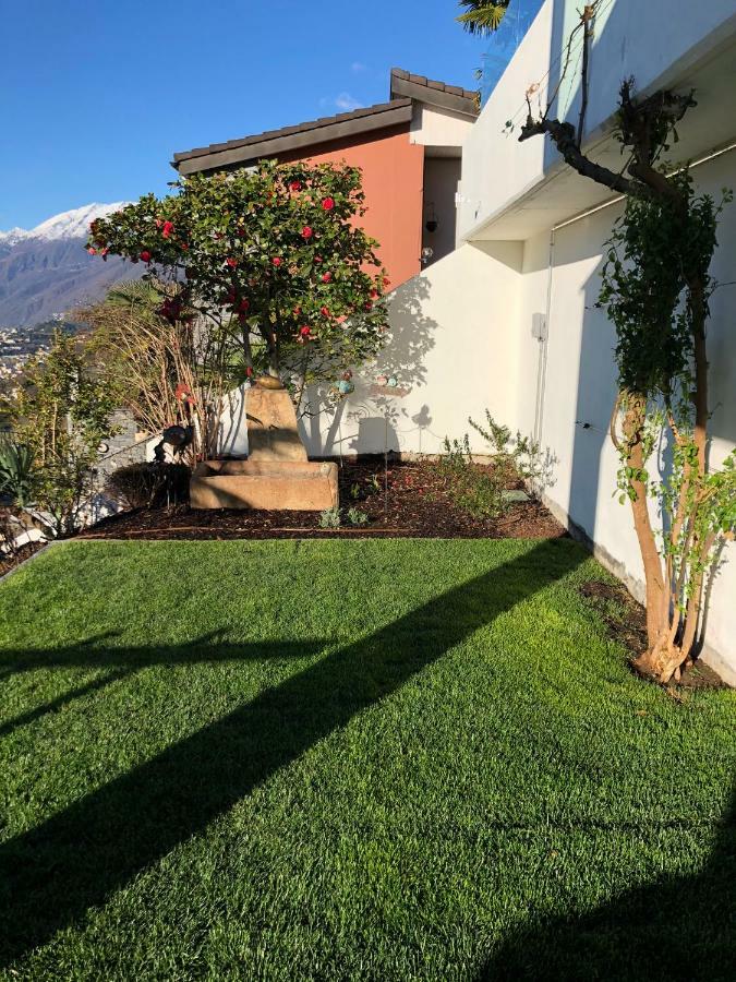 Brione sopra Minusio Casa Amira - Locarno 아파트 외부 사진