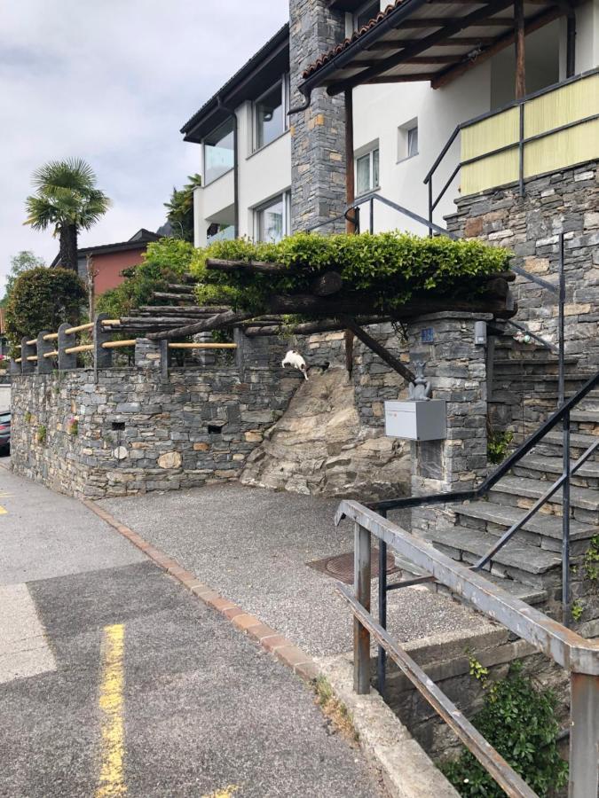 Brione sopra Minusio Casa Amira - Locarno 아파트 외부 사진